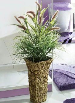 Best BADER Schilfgras in Vase