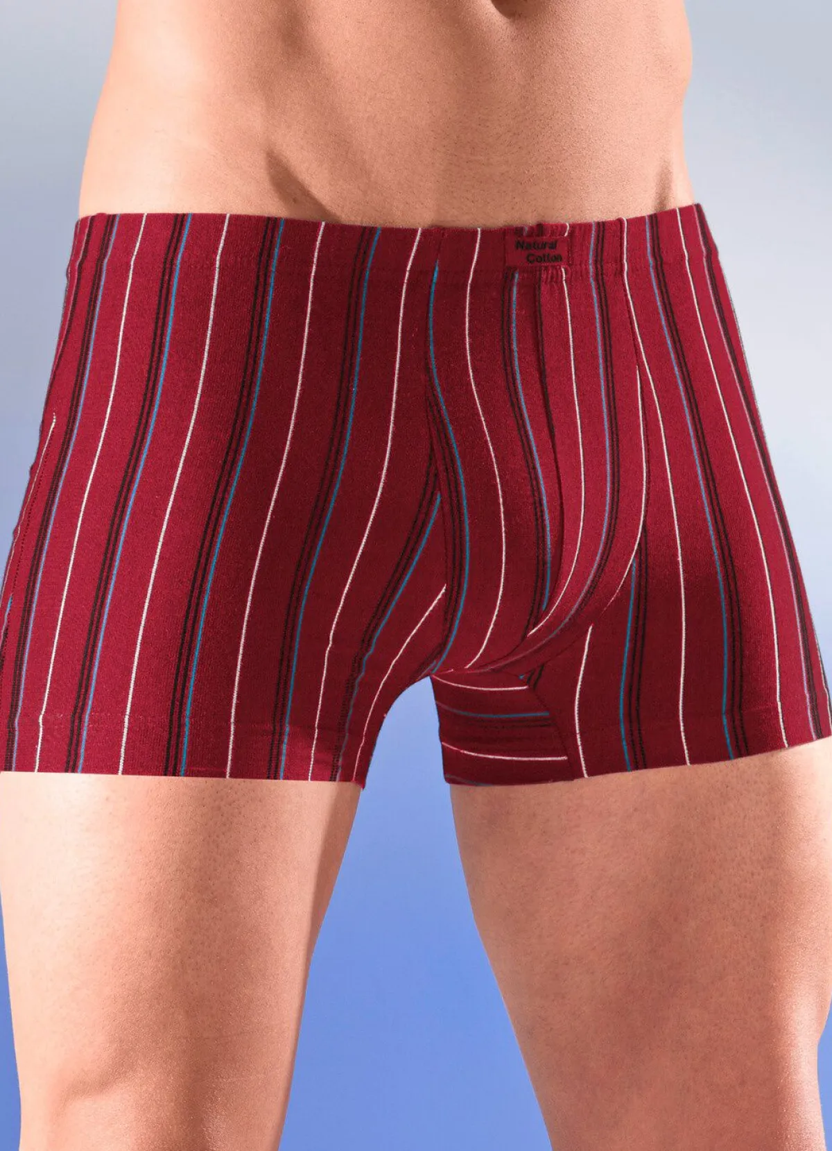 Best BADER Sechserpack Pants mit Streifendessin 1X SCHWARZ-,1X BORDEAUX-, 1X INDIGO-BUNT, 3X UNI SCHWARZ
