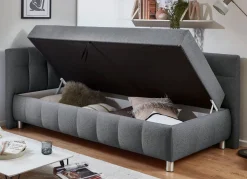 Clearance BADER Studioliege mit Kissen und Bettkasten GRAU