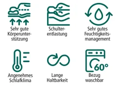 fan TESTSIEGER Mehrzonen-Matratze „max foam by “