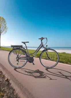 Online TELEFUNKEN Trekking-E-Bike XT485 von ANTHRAZIT
