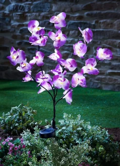 Online BADER Täuschend echte Solar-Orchidee LILA-WEISS