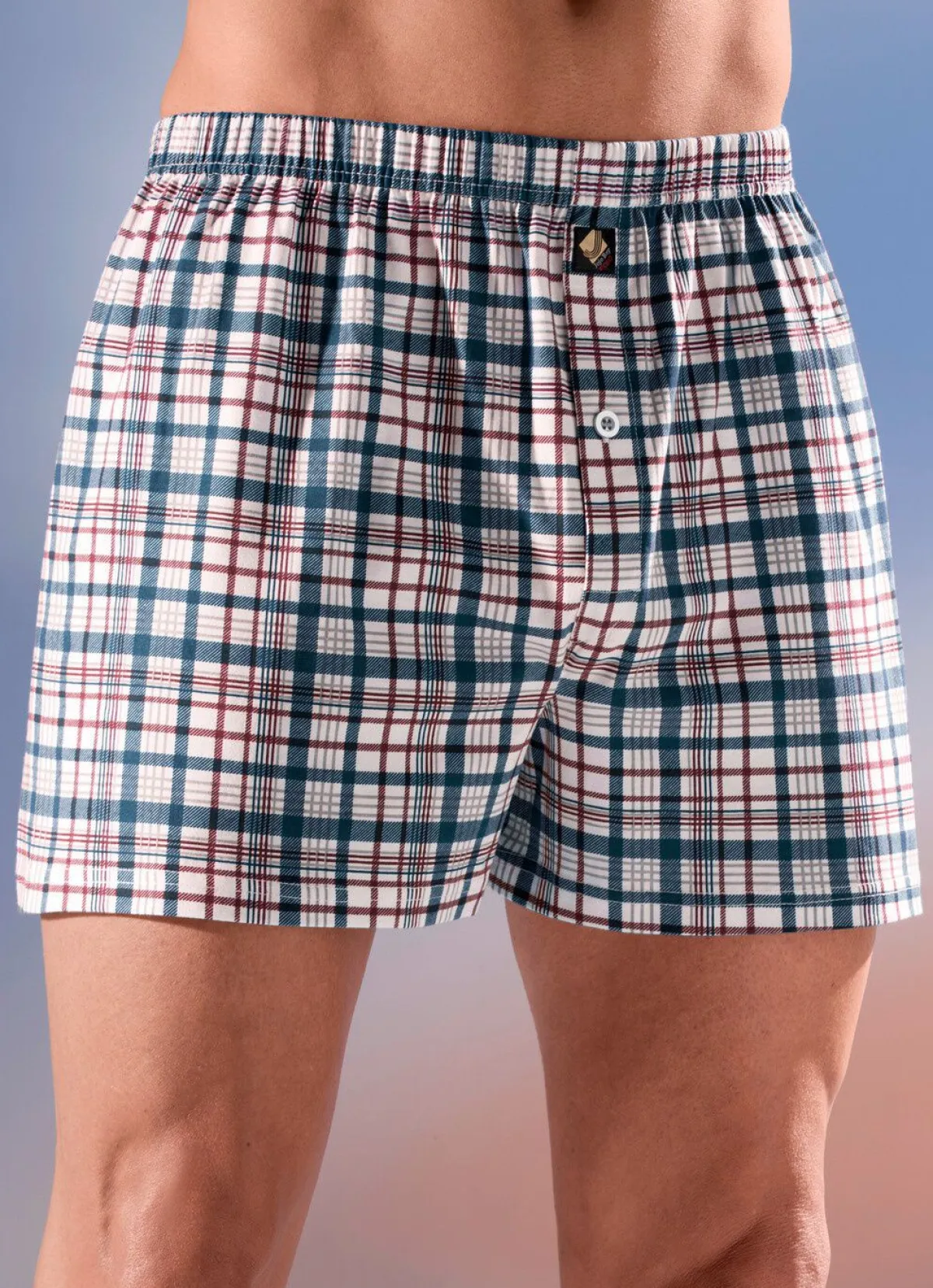 Best BADER Viererpack Boxershorts, kariert, knöpfbarer Eingriff 2x BORDEAUX-BUNT, 2X MARINE-BUNT