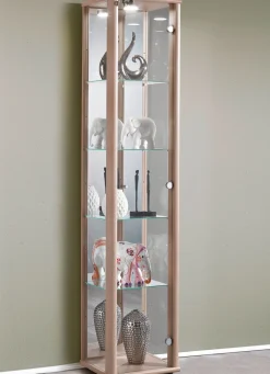 Best BADER Vitrine, 1-türig, mit LED-Beleuchtung EICHE-SONOMA