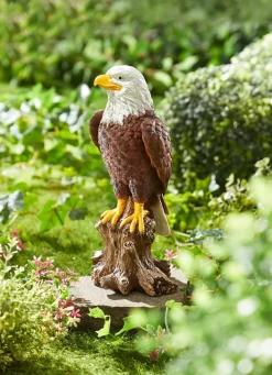BADER Weißkopf-Seeadler BRAUN-WEISS
