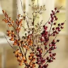 Discount BADER Wunderschöne Beerenzweige, 3er-Set