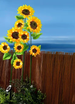 Outlet BADER XXL-Solar-Sonnenblumen GELB-GRÜN-BRAUN