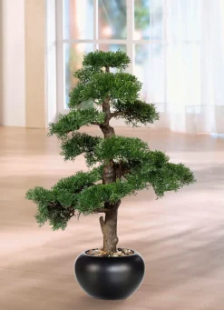 Clearance BADER Zeder-Bonsai im Keramiktopf GRÜN